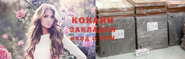 бошки Аркадак