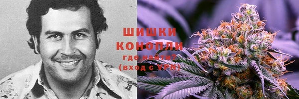 бошки Аркадак